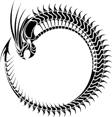 Download Ouroboros Chinese Dragon Symbol Computer Icons Circle Logo Design Tribal Png Image With No Background Pngkey Com