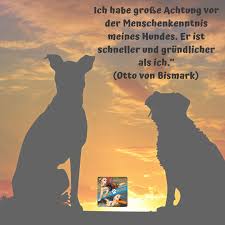 Hunde kommen, wenn man sie ruft. 63 Hundespruche Ideen Hundespruche Hunde Spruche Tiere