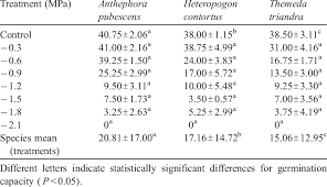 Image result for Anthephora pubescens