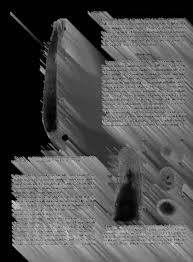 The Biological bulletin