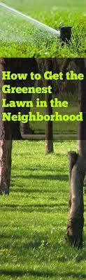 Tips And Tricks For Getting The Greenest Lawn In The Neighborhood Bless My Weeds Green Lawn Lawn Care Lawn And Landscape