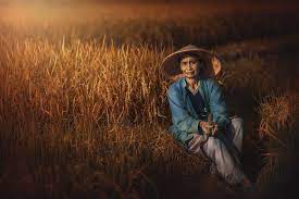 Traditional Farmers Bali Indonesia Bali Indonesia Environmental Portraits Bali