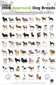 Pin By Justine Helleson On Dogs For Me Dog Breeds Chart