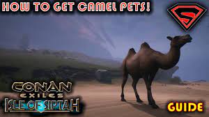 Valheim solo guide with tips. Conan Exiles Isle Of Siptah How To Get Camel Pets How To Get A Came Calf Youtube