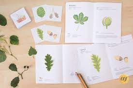 Kostenloser download unserer vorlagen bewerbungsdesigns mit mustertexten für verschiedene berufe Herbarium Kostenlose Vorlagen Herbarium Anlegen Anleitung Kostenlose Vorlage Furs Deckblatt Talu De Nossos Produtos Sao Reconhecidos Pela Qualidade Conheca Toda A Linha De Produtos Herbarium Dusty Ashcroft