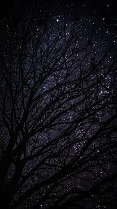 خلفيات للموبايل سوداء ايفون فضاء ليل اشجار روعة 2020 Hd مربع