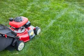 Oil the axles where the wheels are mounted on them inside and out. 8 Main Reasons Why Your Lawn Mower Leave Lines