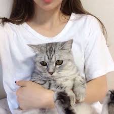 Emne Drn Adli Kullanicinin Fotolar Alintilar Panosundaki Pin Tekir Kediler Kedi Ve Hayvanlar