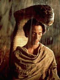 Maybe you would like to learn more about one of these? Stills Little Buddha Stills 031 Keanu Reeves Online Keanu Reeves Photos