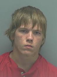 Lee County Arrests 11/17