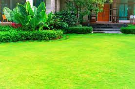 Choose a calm day, as grass seed is very light, you don't want it i believe now is about the right timr to overseed to repair the damage but wish to know, should i scarify the affected areas before seeding? The Comprehensive Guide To Kansas City Lawn Care Heritage Lawns