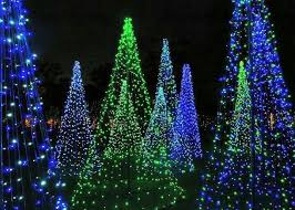 Love The Lights Christmas Display Christmas Lights Lights