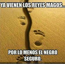 Ya Vienen Los Reyes Magos Frases Chistosas De Navidad Frases De Bromas Frases De Felicitaciones