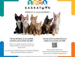 To get the latest on pet adoption and pet care, sign up to hear from us. Cats Saskatoon Spca Saskatoon Society For The Prevention Of Cruelty To Animals Dog And Cat Adoption And Rescue