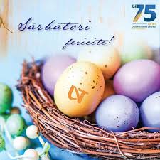 Electrosim srl din judeţul alba. Sorin Cimpean Coordonator Rcs Rds Linkedin