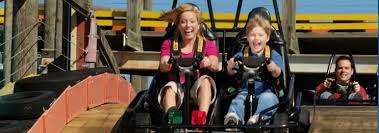 500 Point Mega Card Go Kart Destin Kids Ride On