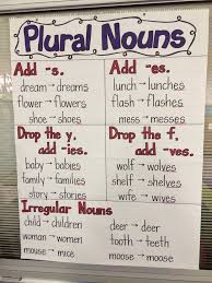 noun anchor chart plural nouns anchor chart language