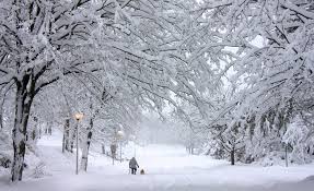 We did not find results for: Avec Le Rechauffement Climatique Les Hivers Seront De Plus En Plus Rudes