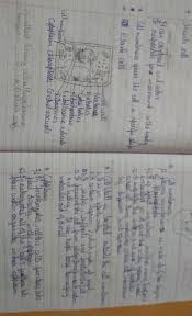 Maybe you would like to learn more about one of these? Structure Of Plant Cell And Animal Celi I Need A Long Explanation For Two Pages To Write In My Brainly In