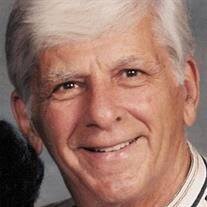 Peter N. Salamino Obituary