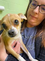 Idudla zi cute lately 😍🥵🥺