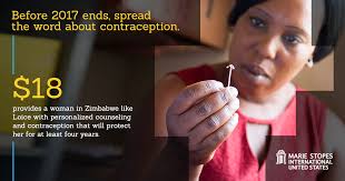 MSI United States — Michele Friedman Design