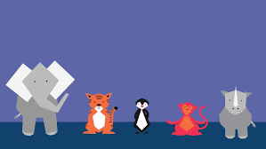 Check spelling or type a new query. Heedi Graphic Design Celebration Gif Templates For Wwf