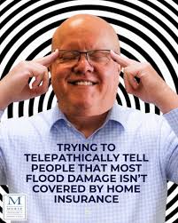 Jennifer Brady-Sullivan