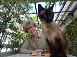 La libertad de los gatos | ¿Qué es el tiempo?
