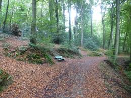 Rund 1.700 hektar wald und 240 kilometer wanderwege rund um velbert warten nur darauf, zu fuß von dir entdeckt zu werden. Tour 578 Velbert Langenberg Mit Dem A5 An Den Rand Von Langenberg Wanderwegewelt