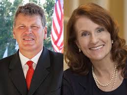 Collier Commission District 4 race: Newcomer challenges political vet