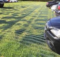 Driveway Grass Protection Plastic - Lawn Reinforcement Grid For Driveways &  Gardens Grass Protection Mesh