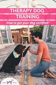 If your dog has passed basic obedience and advanced training, such as the canine good citizen test, they might be ready for therapy dog training. Pin On Dog Stuff