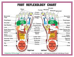 Foot Message Thearpy Chart 5x11 Foot Chart Claire Marie