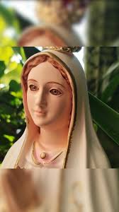 Nossa Senhora de Fátima, rogai por nós que recorremos a vós! 🥰🤲, #fatima  #Maria #mãe #fé #paz #amor