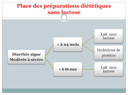 We did not find results for: La Diarrhee Aigue De L Enfant Ppt Telecharger