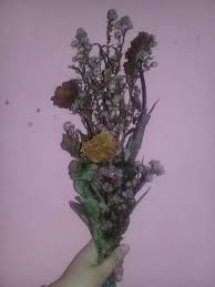 Selamat menikmati official audio dari d'lloyd berjudul bunga layu. Rasa Kita Kita Layaknya Bunga Layu Sebelum Berkembang