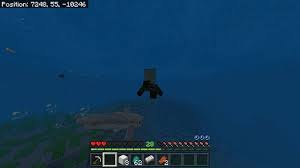 Minecraft What Do Dolphins Eat - Youtube