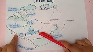 Selain itu, kewujudan air dan oksigen di bumi juga menyebabkan bumi sesuai untuk semua gambar foto 9.2 hidupan. 9 1 Taburan Air Di Bumi Kitar Air Sains Tingkatan 1 Youtube