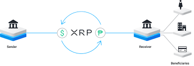 About xrp (ripple) xrp is the cryptocurrency used by the ripplenet payment platform. Prognose Ripple Xrp Prognose 08 2021 Bitcoin2go