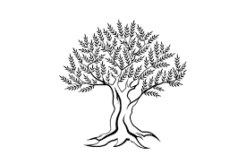 Vector Olive Tree Silhouette Tree Silhouette Vector Illustration Olive Tree Tattoos