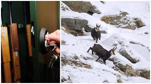 Figurtraining, Yoga und Pilates