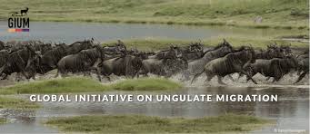 Atlas of Ungulate Migrations
