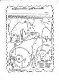 Carbon cycle color number science distance learning coloring page. Biogeochemical Cycles Worksheets Teachers Pay Teachers
