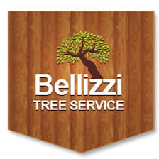 Get directions, reviews and information for hillerman's firewood in san jose, ca. Firewood Bellizzi Tree Service