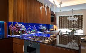 The plate rises automatically when the button is pressed, giving access to the aquarium lid. 4 Best Aquarium Ideas For Home