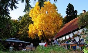 Der botanische garten bielefeld befindet sich am südhang des zum teutoburger wald gehörigen kahlenberg im südwesten der ostwestfälischen stadt bielefeld. Verein Freunde Des Botanischen Gartens Bielefeld E V
