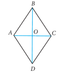 Շեղանկյուն | Լուիզա Եղիազարյան