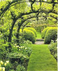 An apple tree, much like a person, develops and changes as it matures. Apple Tree Arches Beautiful Gardens Garden Trees Outdoor