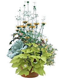 This is the new ebay. A Gallery Of Beautiful Container Garden Ideas Better Homes Gardens
